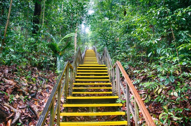 stairs_SingaporeBotGardens